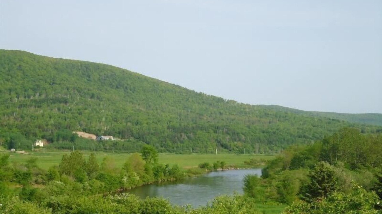 Photo of Others in Margaree Forks