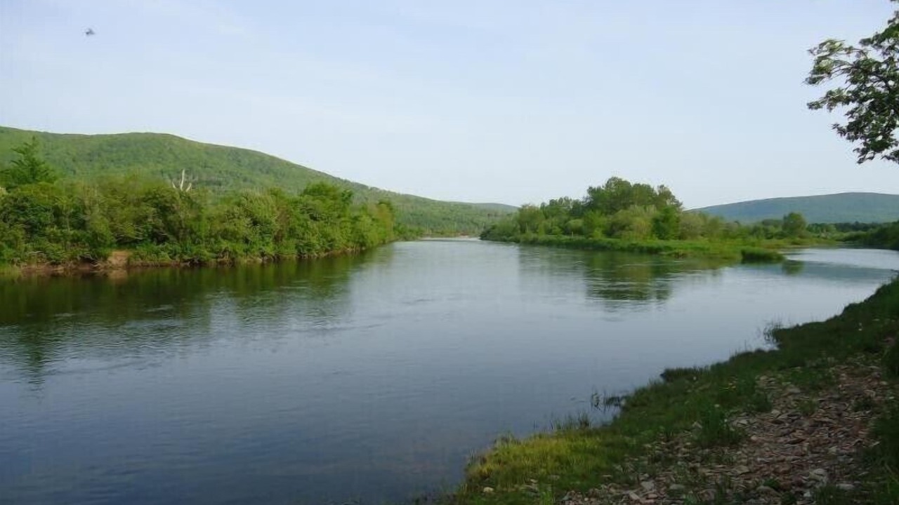 Photo of Others in Margaree Forks