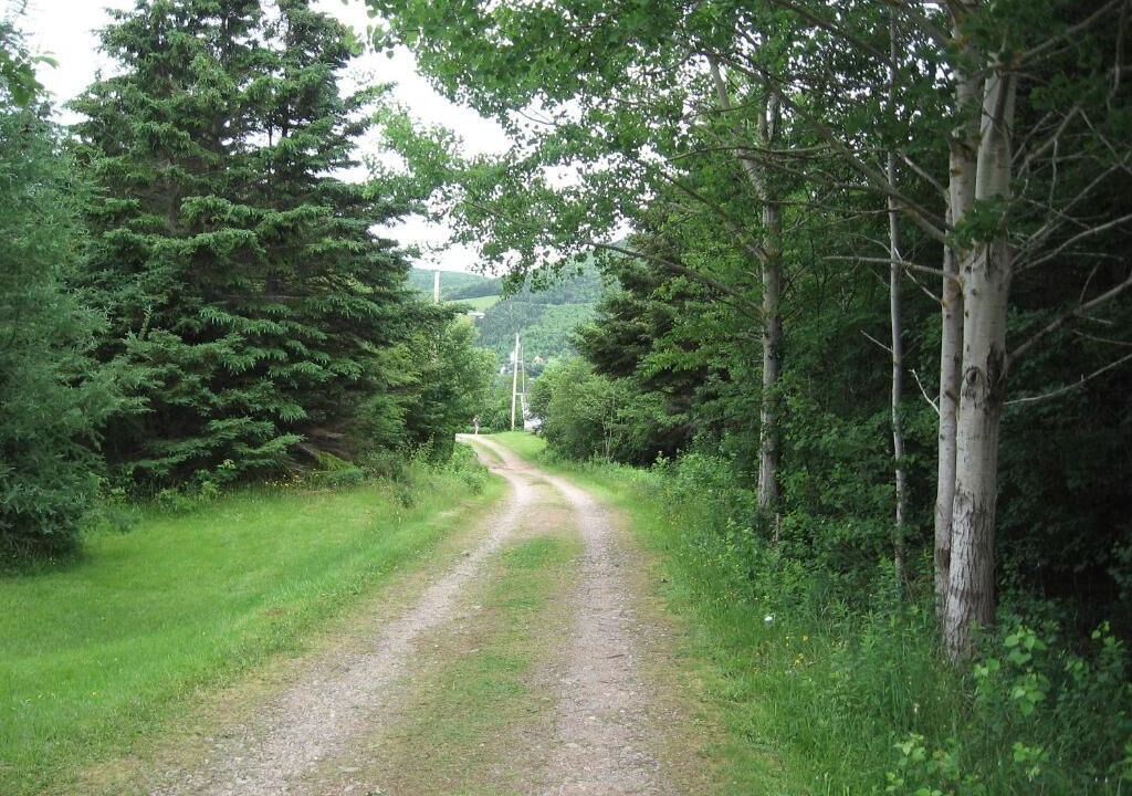 Photo of Outdoor in Margaree Forks
