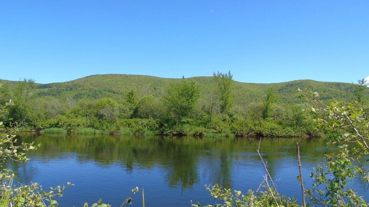 Photo of Others in Margaree Forks