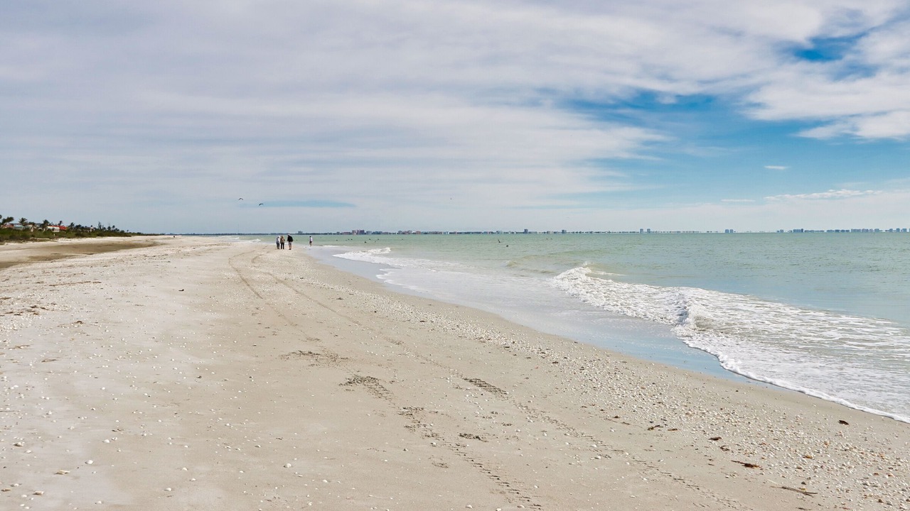 Photo of Others in Sanibel