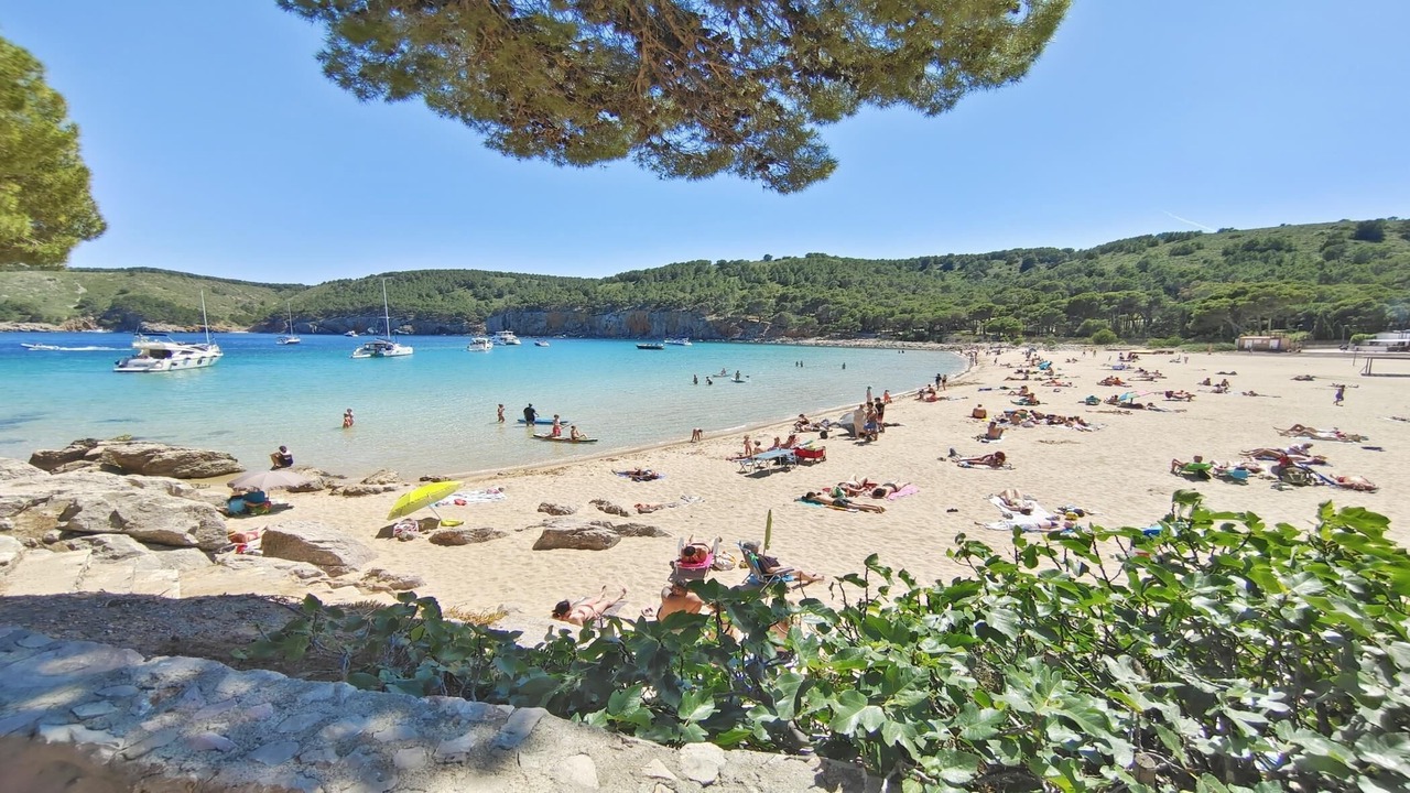 Photo of Others in L'Escala