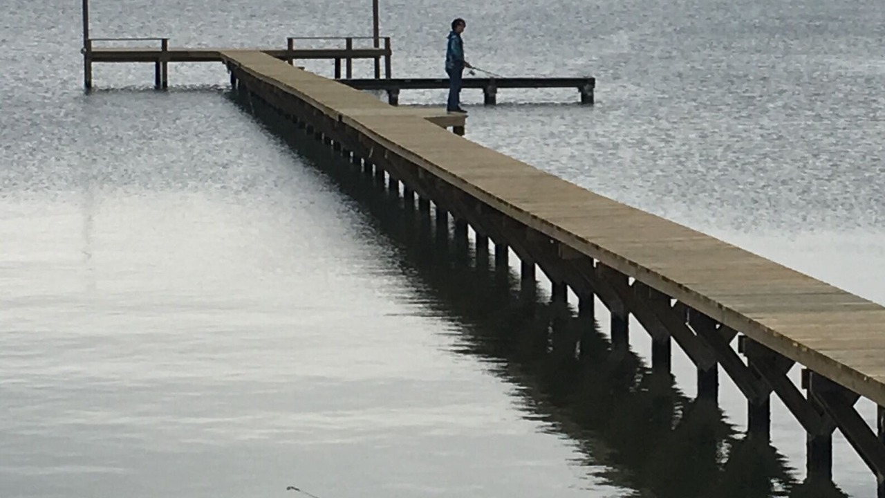 Photo of Outdoor in Long Mott