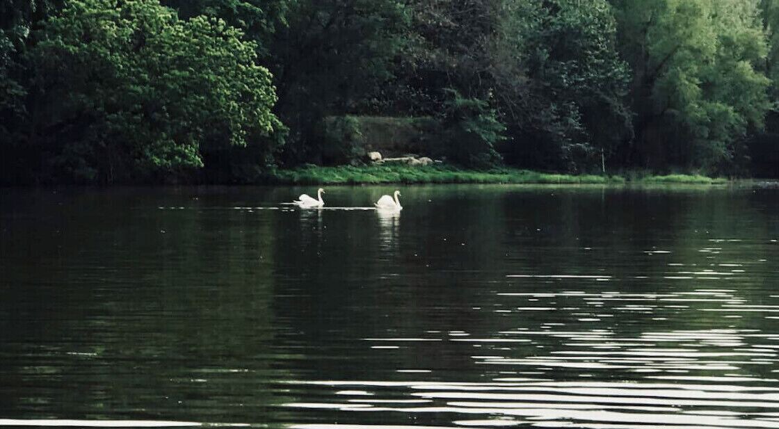Photo of Outdoor in Green Park