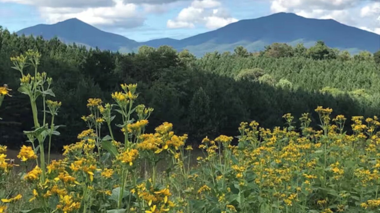 Photo of Others in Bedford