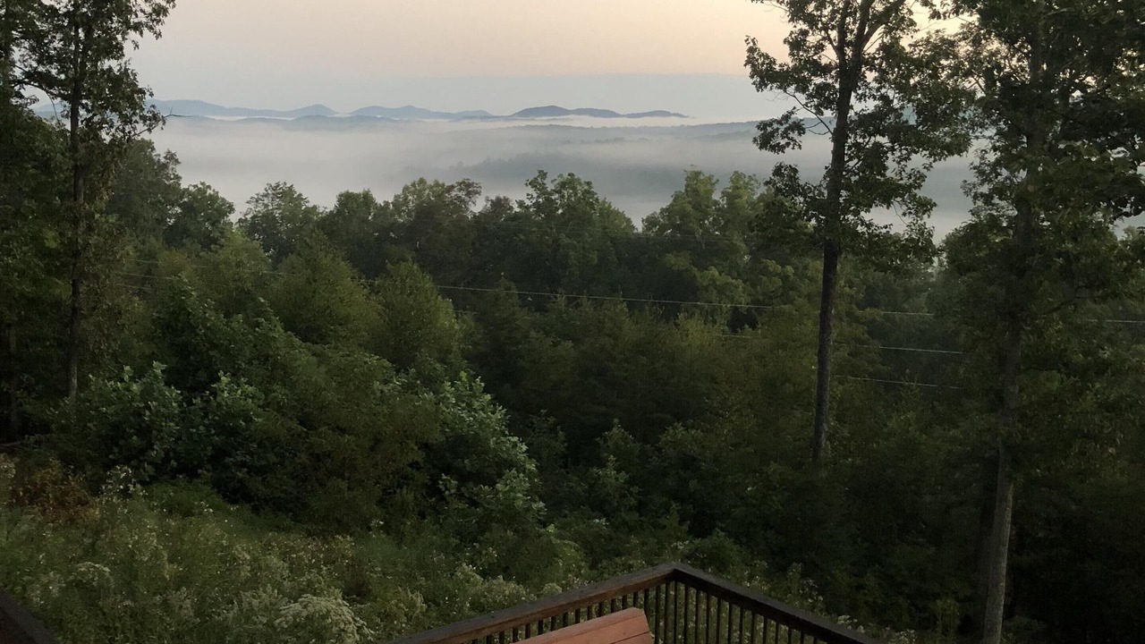 Photo of Others in Hemp