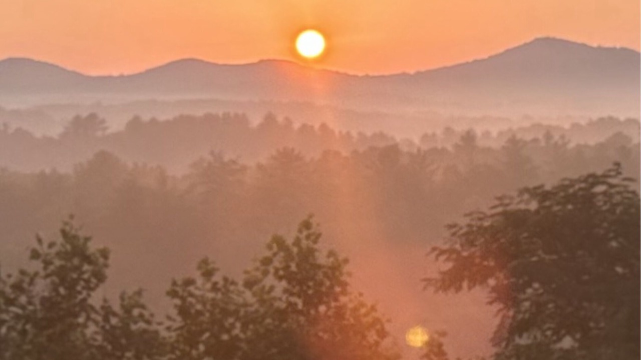 Photo of Others in Hemp