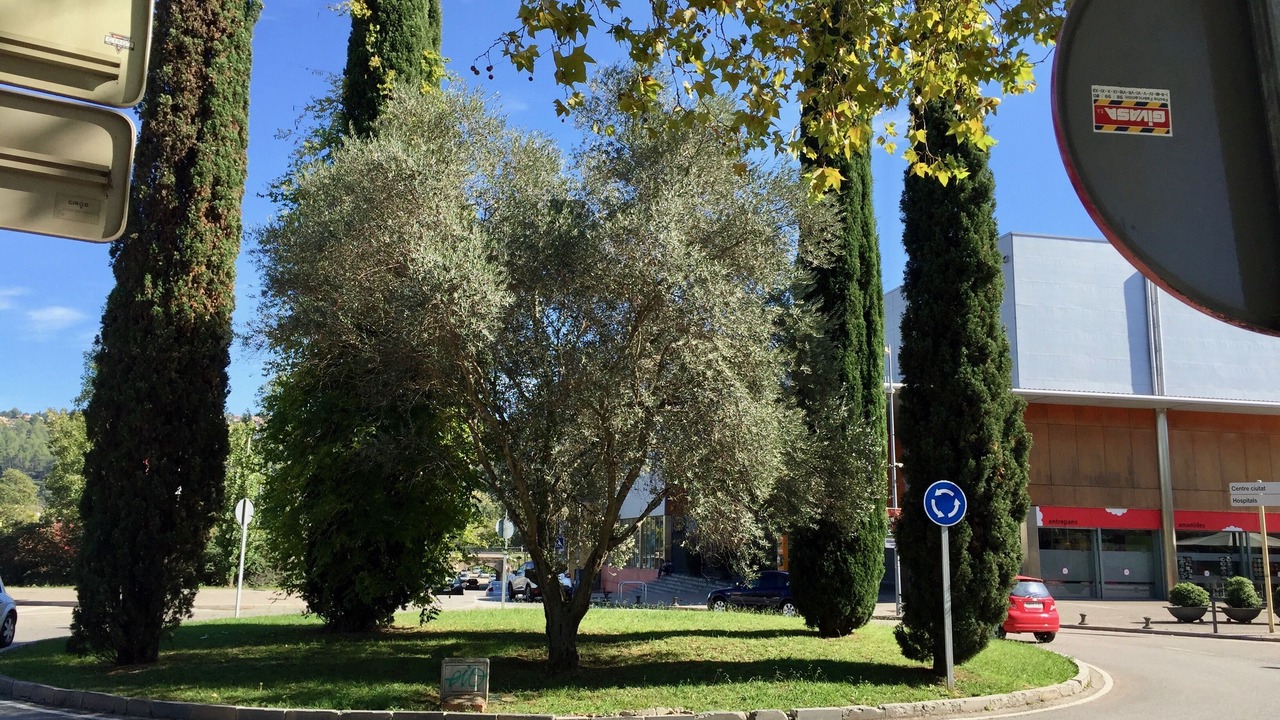 Photo of Others in Fontajau