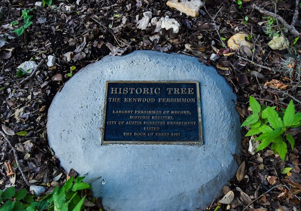 Photo of Outdoor in Travis Heights