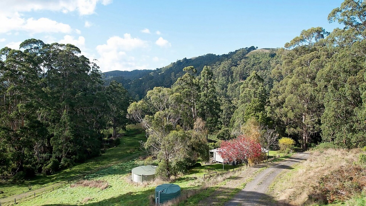 Photo of Others in Apollo Bay