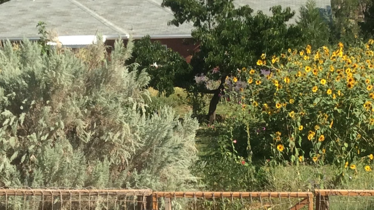 Photo of Outdoor in Escalante