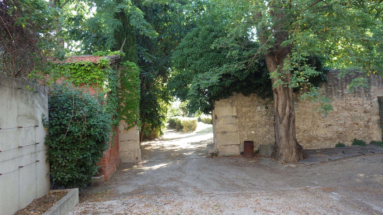 Photo of Outdoor in Beziers