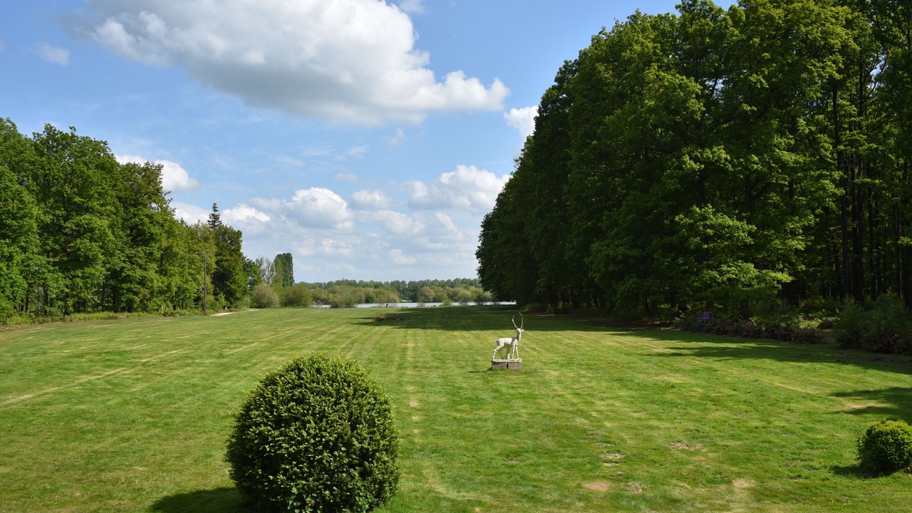 Photo of Others in La Saucelle