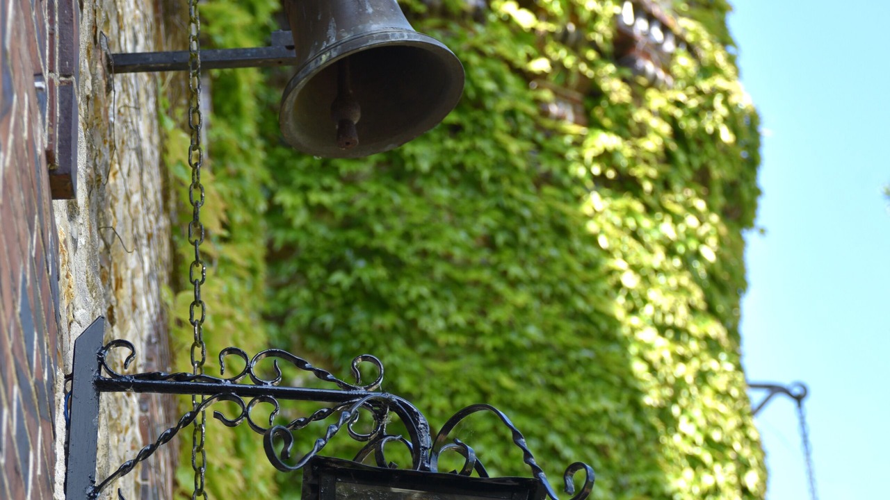 Photo of Outdoor in La Saucelle