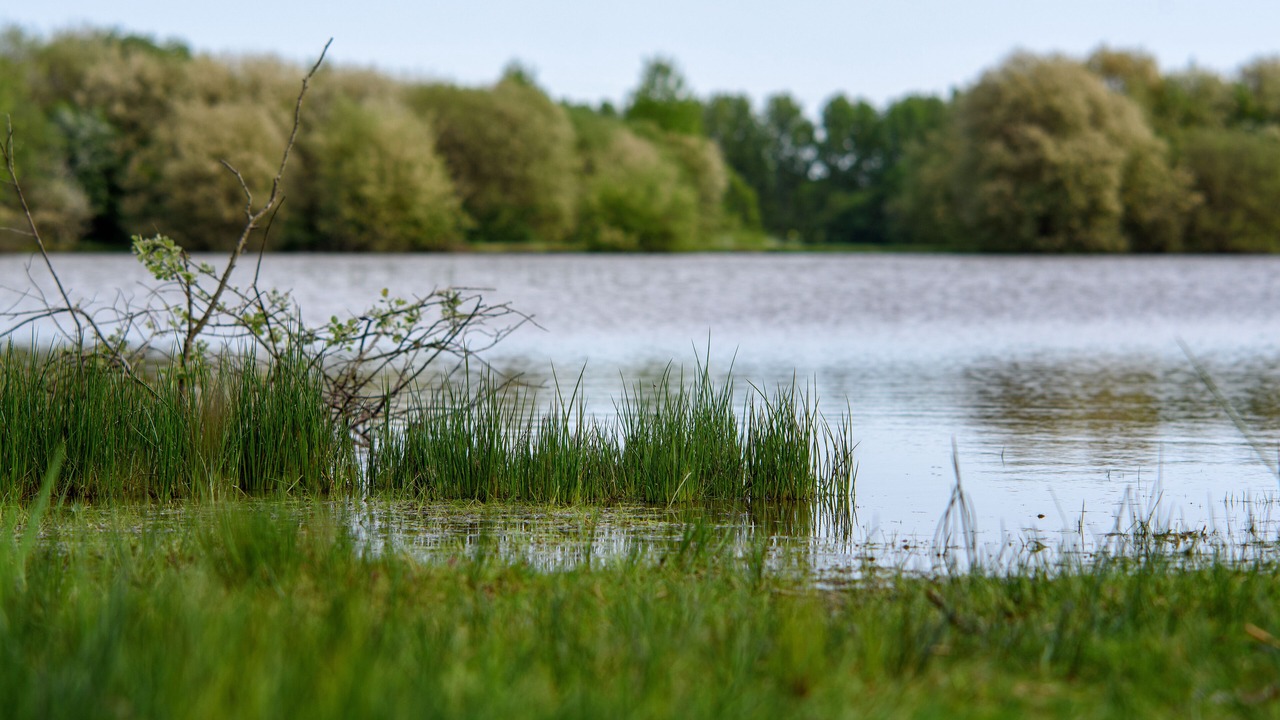 Photo of Outdoor in La Saucelle