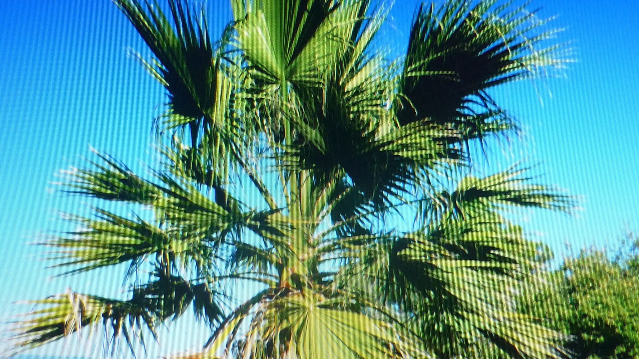 Photo of Outdoor in Trans-en-Provence