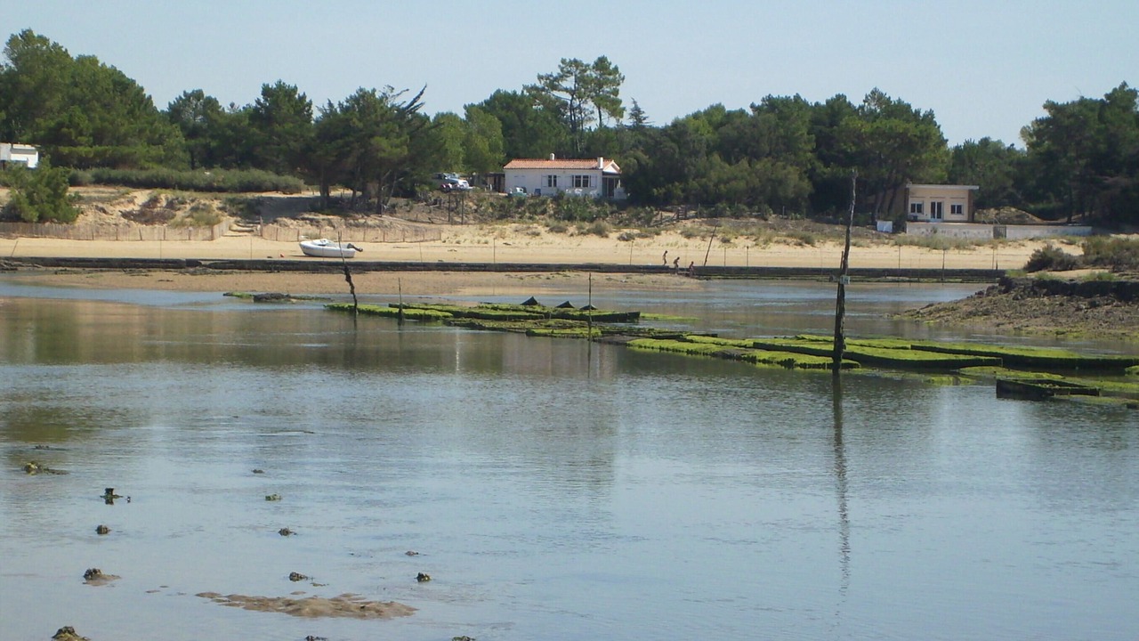 Photo of Outdoor in Bourgenay