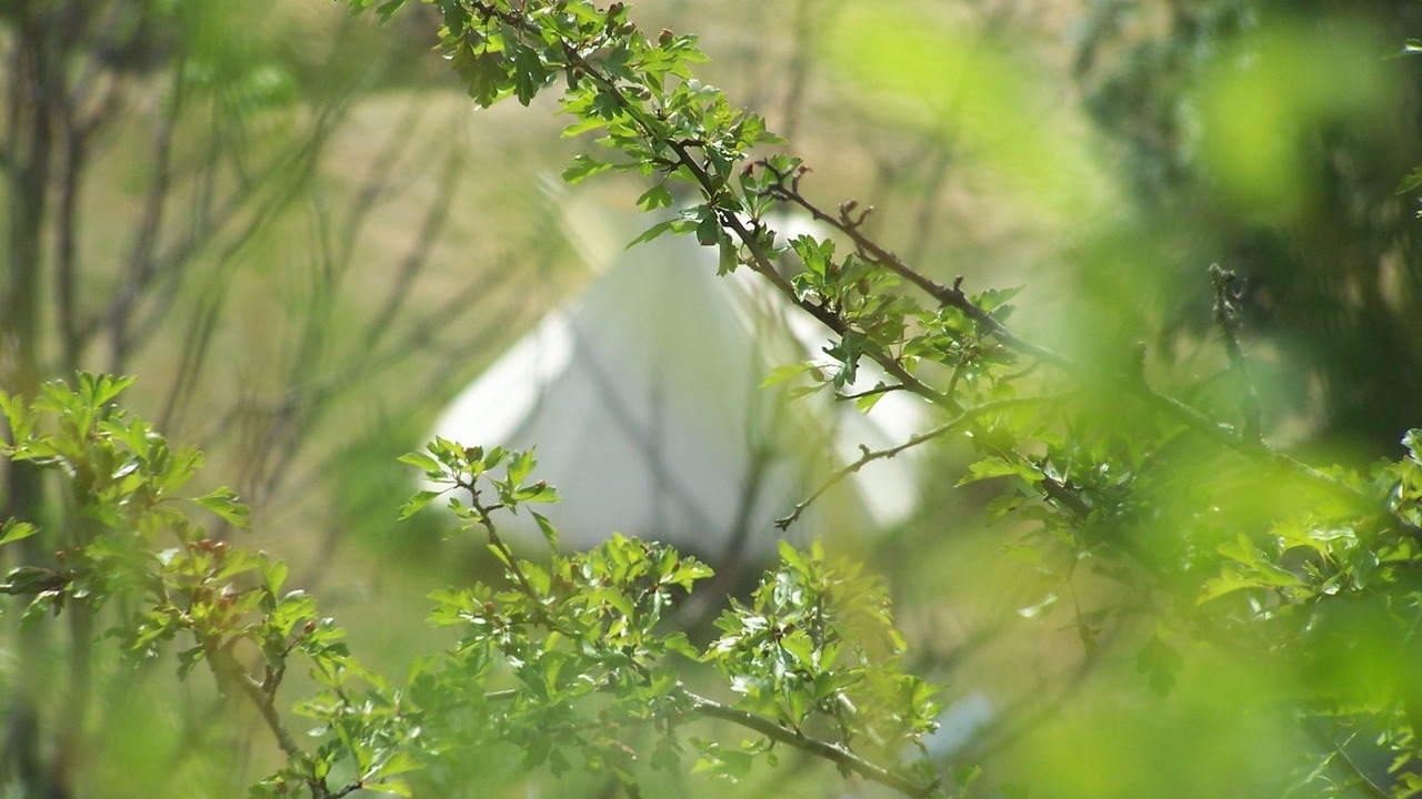 Photo of Outdoor in Gedre