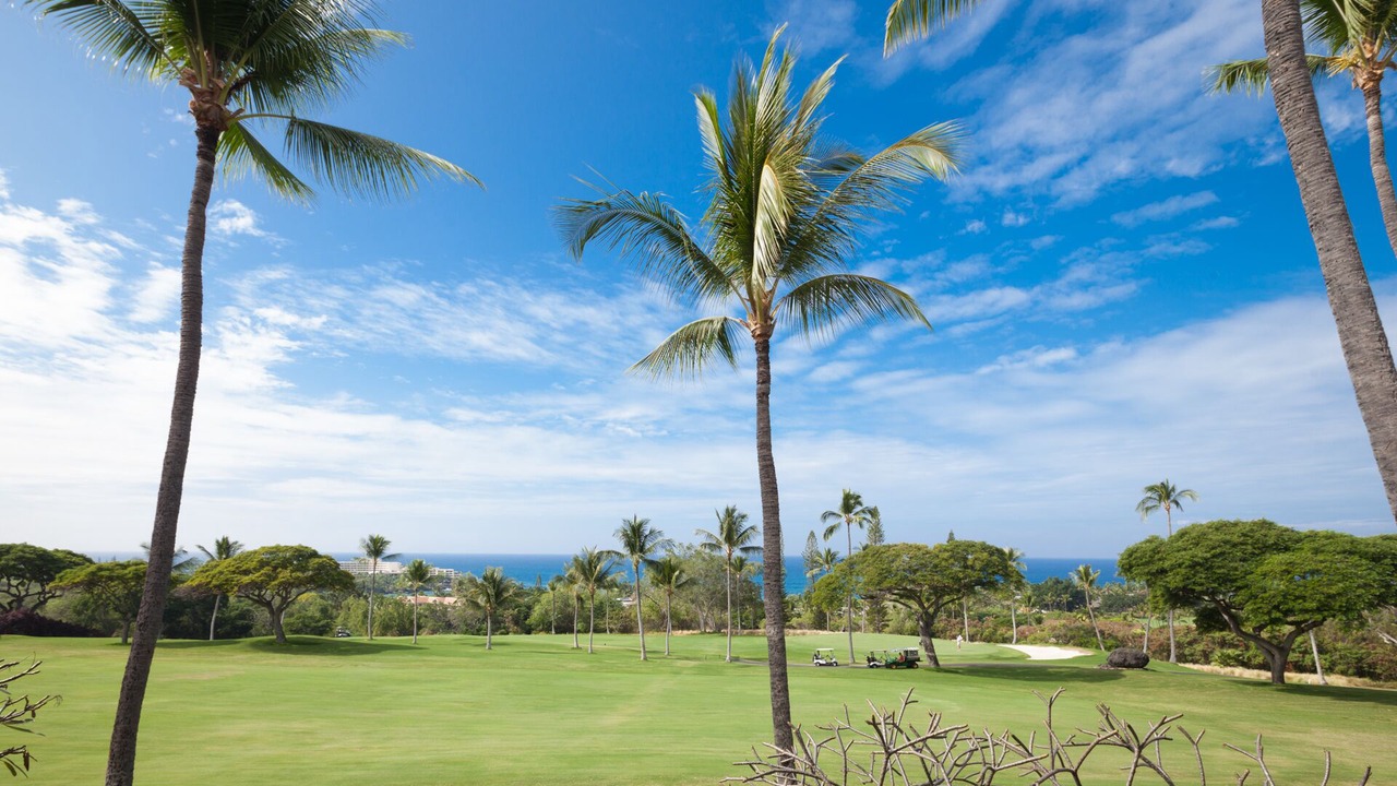 Photo of Others in Kahaluu-Keauhou