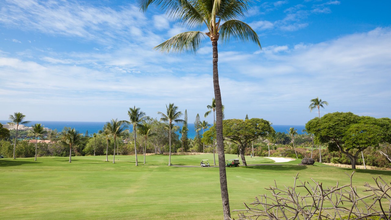 Photo of Others in Kahaluu-Keauhou