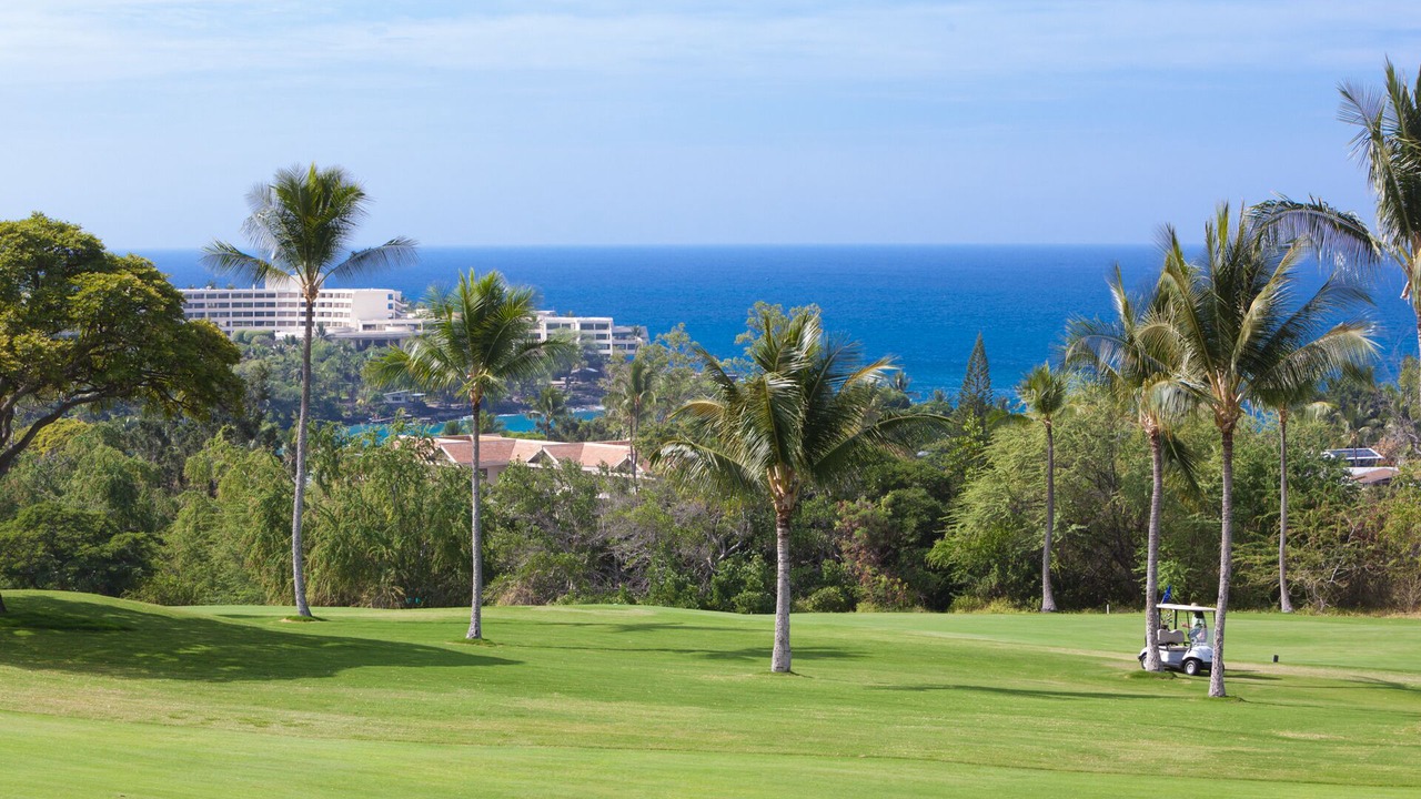 Photo of Others in Kahaluu-Keauhou
