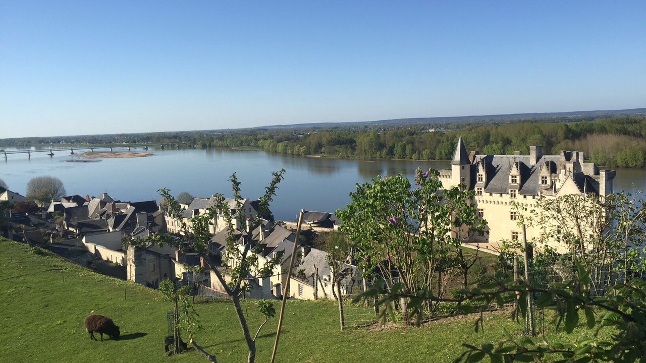 Photo of Outdoor in Montsoreau
