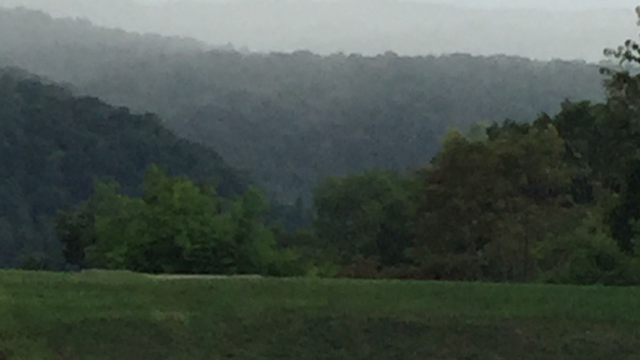 Photo of Others in Waneta