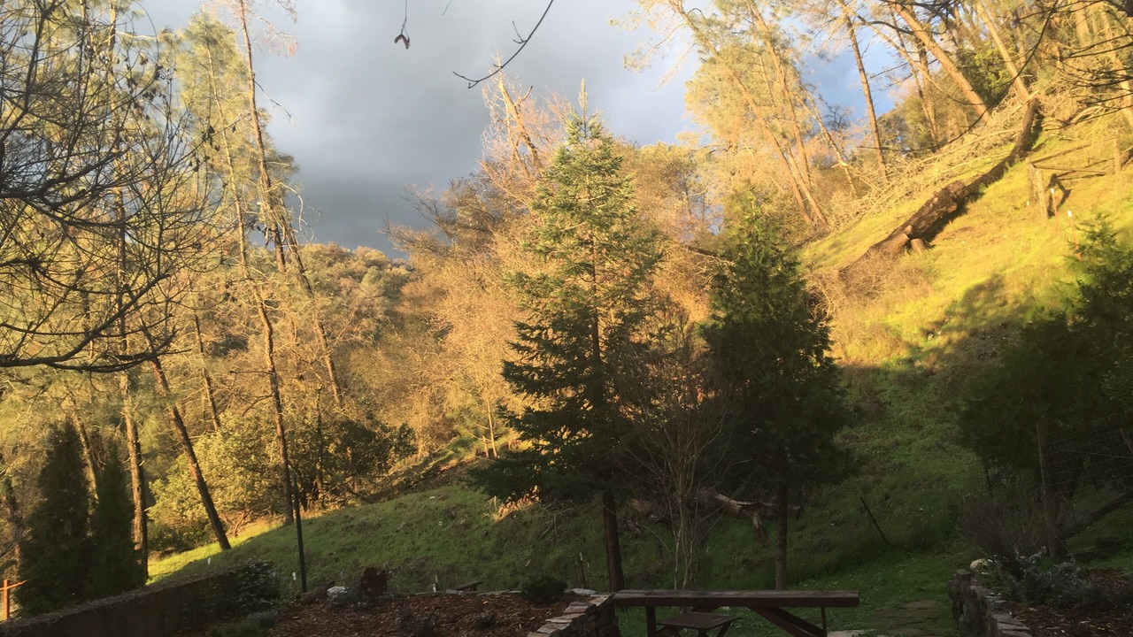 Photo of Outdoor in Amador City