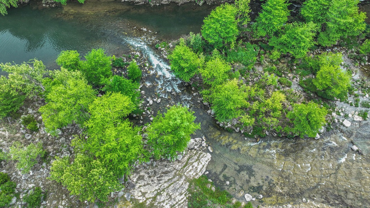 Photo of Others in Gruene