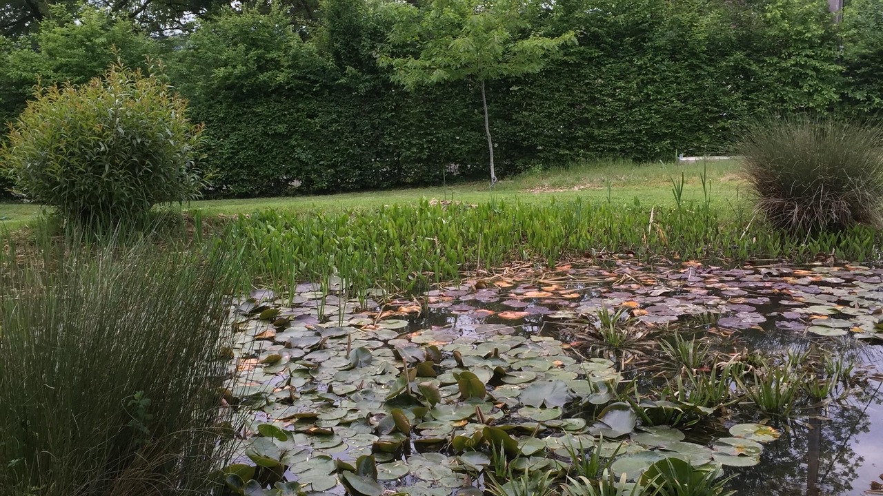 Photo of Outdoor in Camboulit