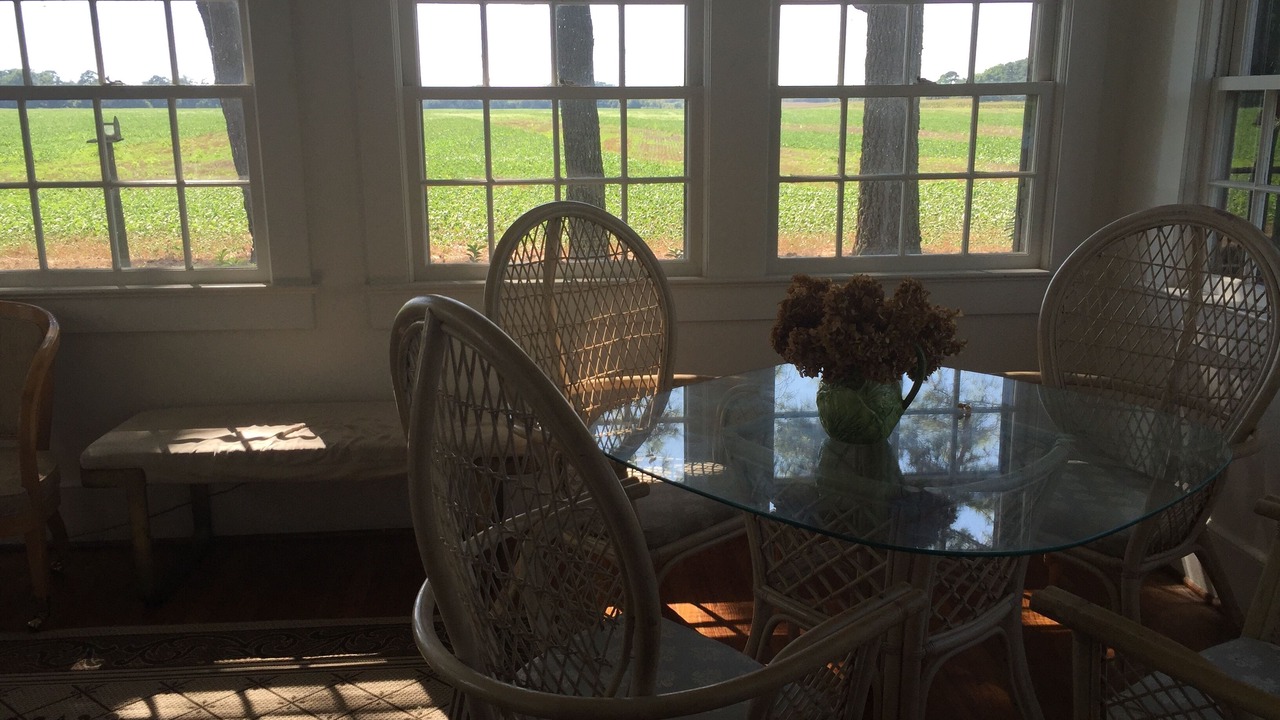 Photo of Others in Dalbys