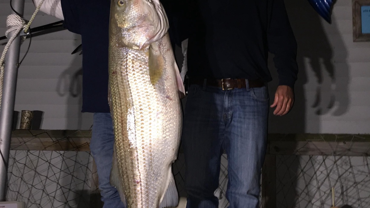 Photo of Others in Dalbys