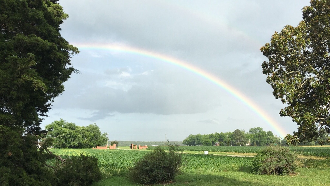 Photo of Others in Dalbys