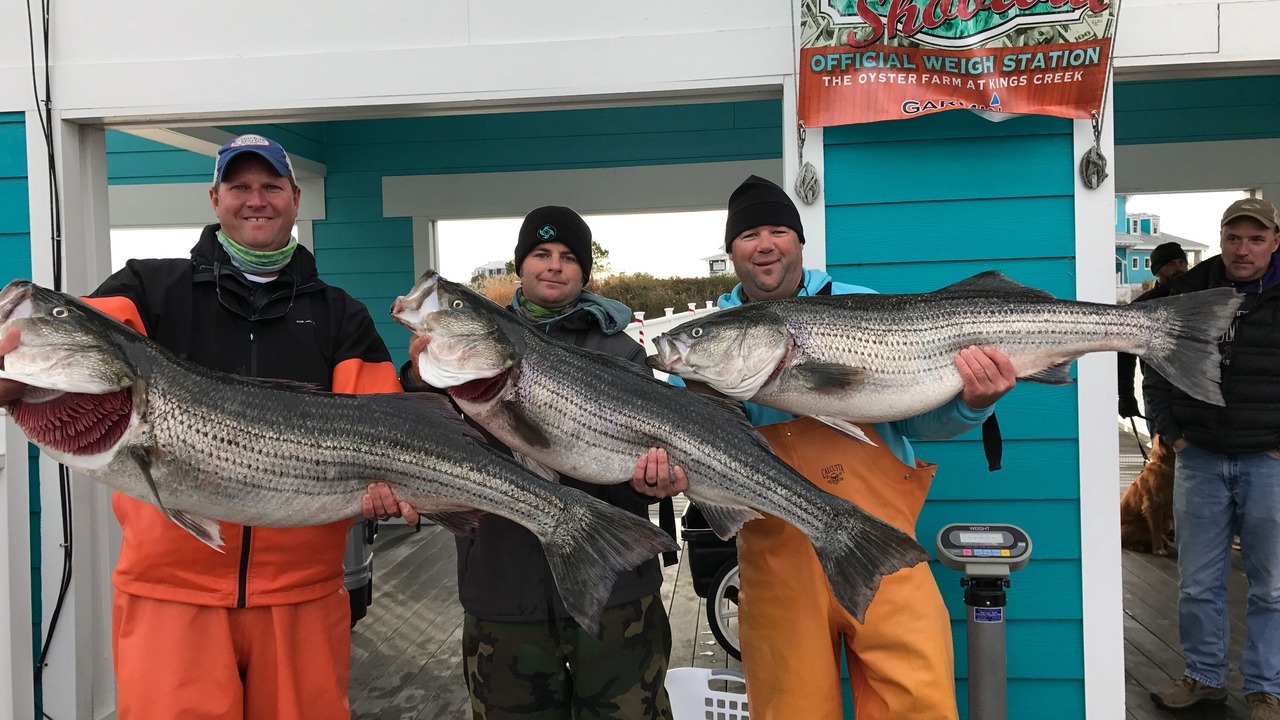 Photo of Others in Dalbys