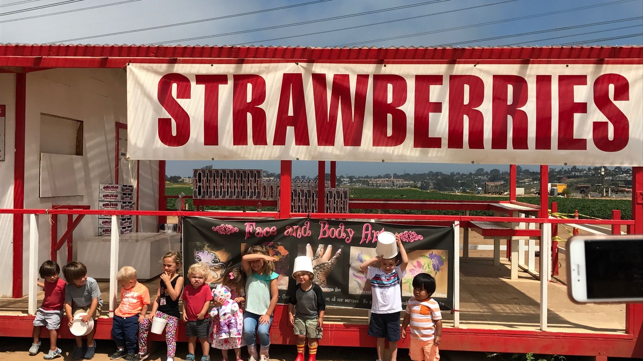 Photo of Others in Carlsbad
