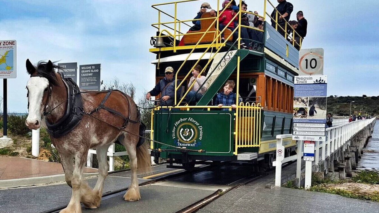 Photo of Others in Victor Harbor