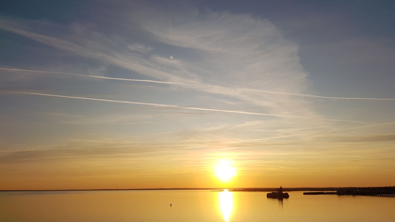 Photo of Others in Dolus-d'Oleron