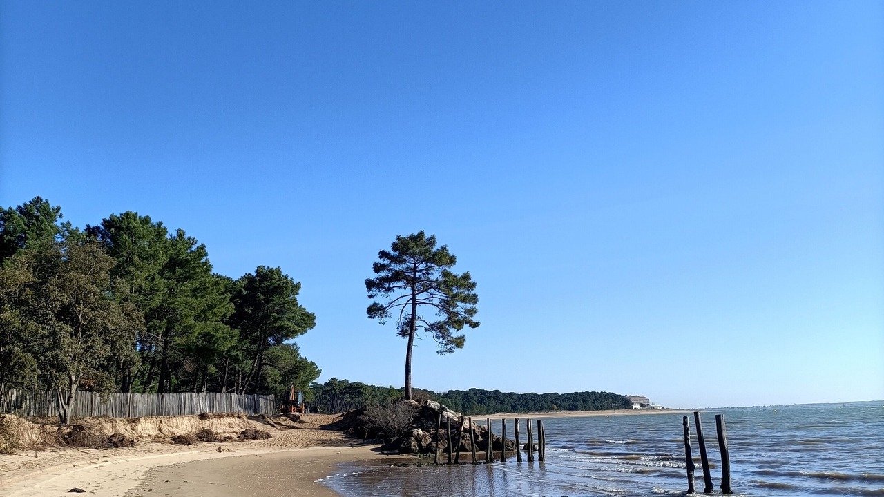 Photo of Others in Dolus-d'Oleron