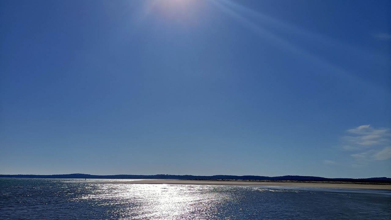 Photo of Others in Dolus-d'Oleron