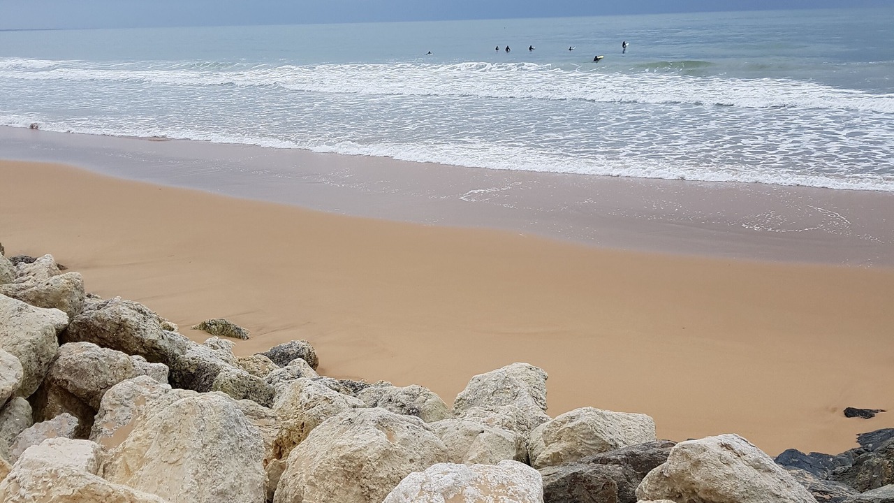 Photo of Others in Dolus-d'Oleron