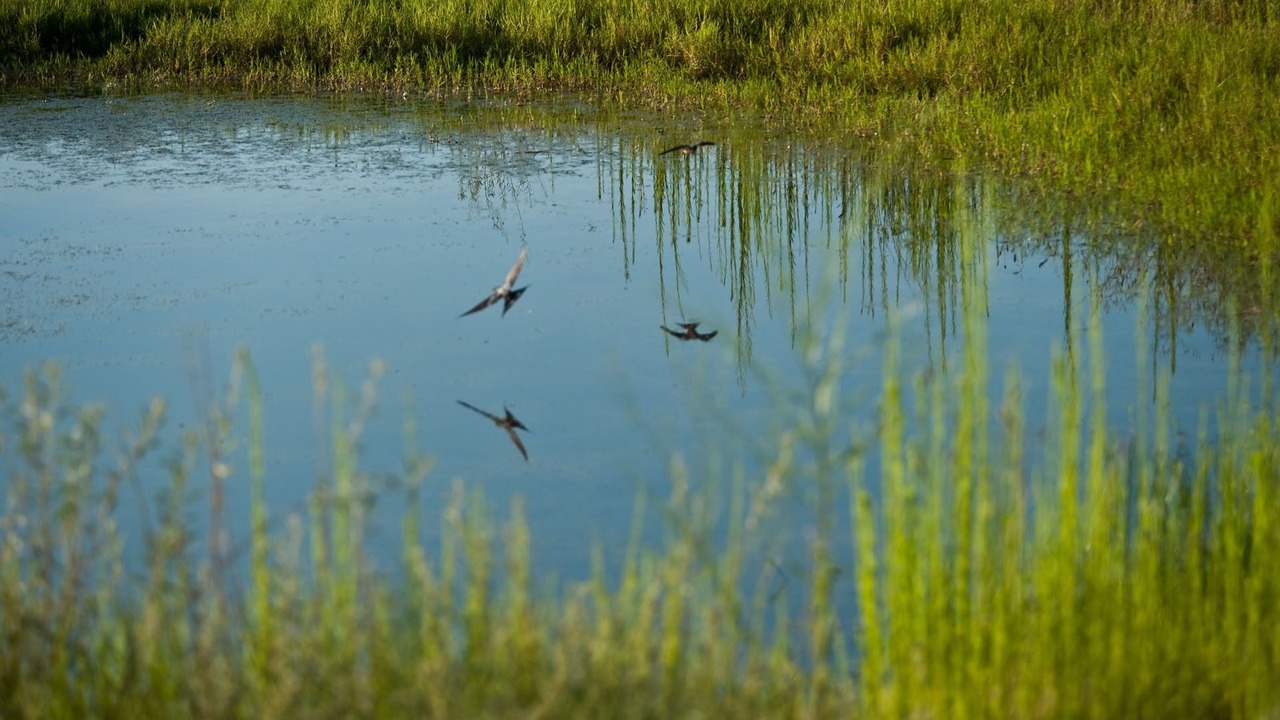 Photo of Outdoor in Marathon