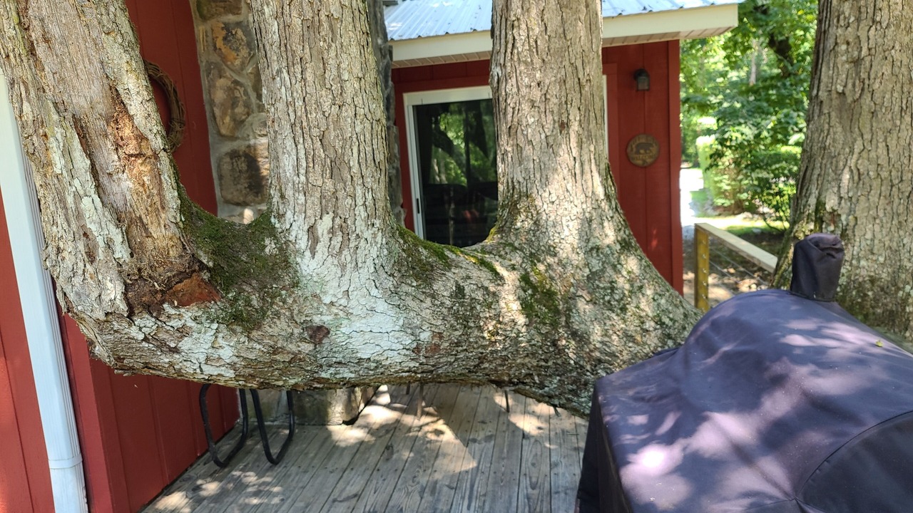 Photo of Outdoor in Murphy