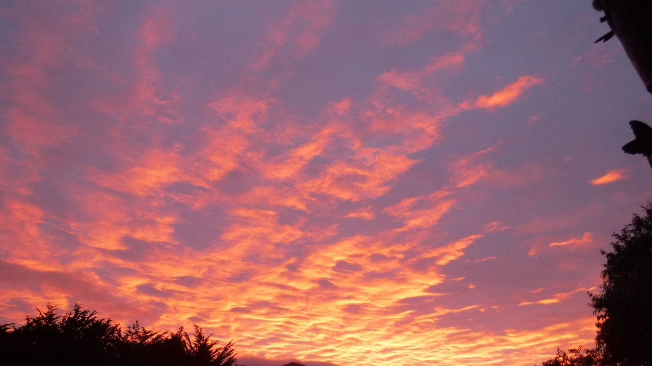 Photo of Others in Salmon Creek