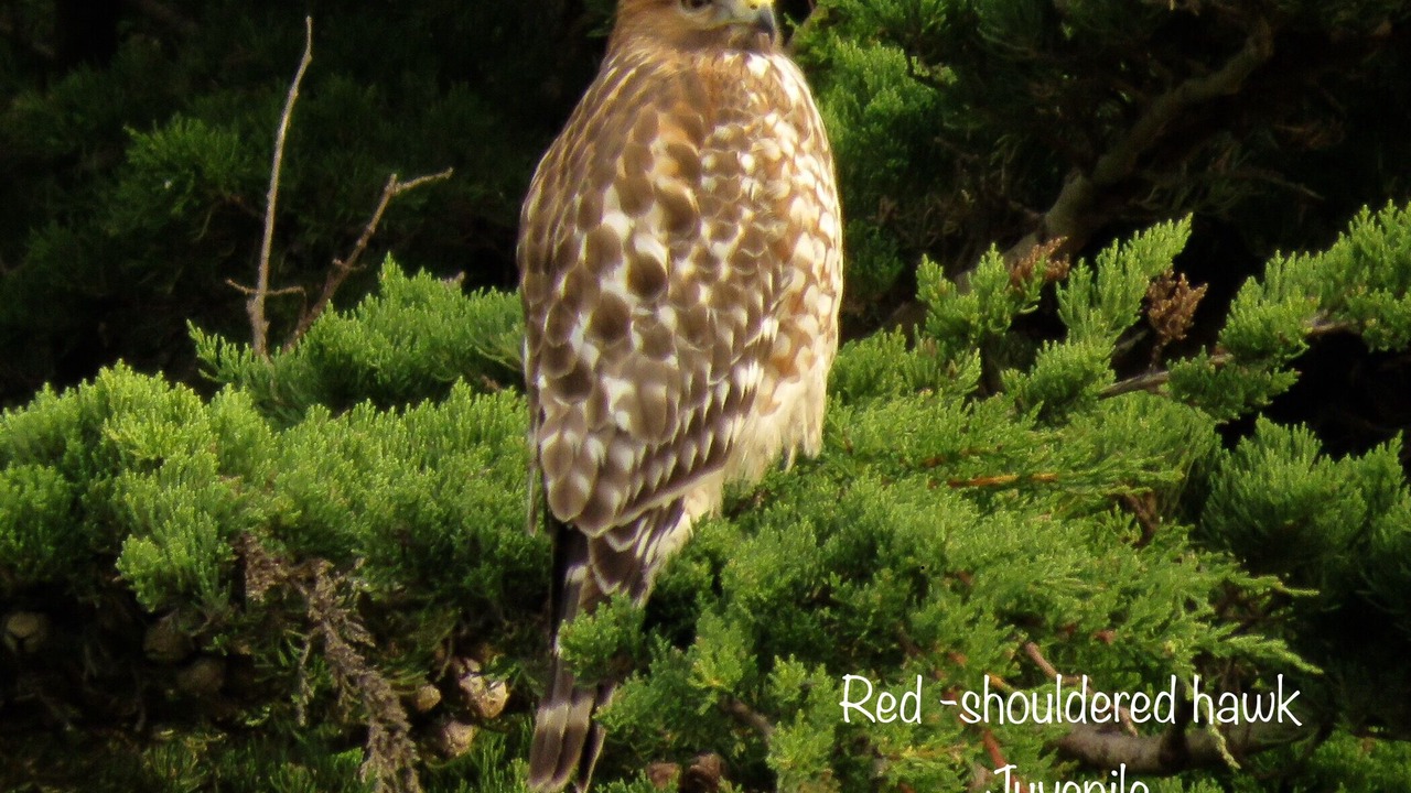 Photo of Outdoor in Salmon Creek