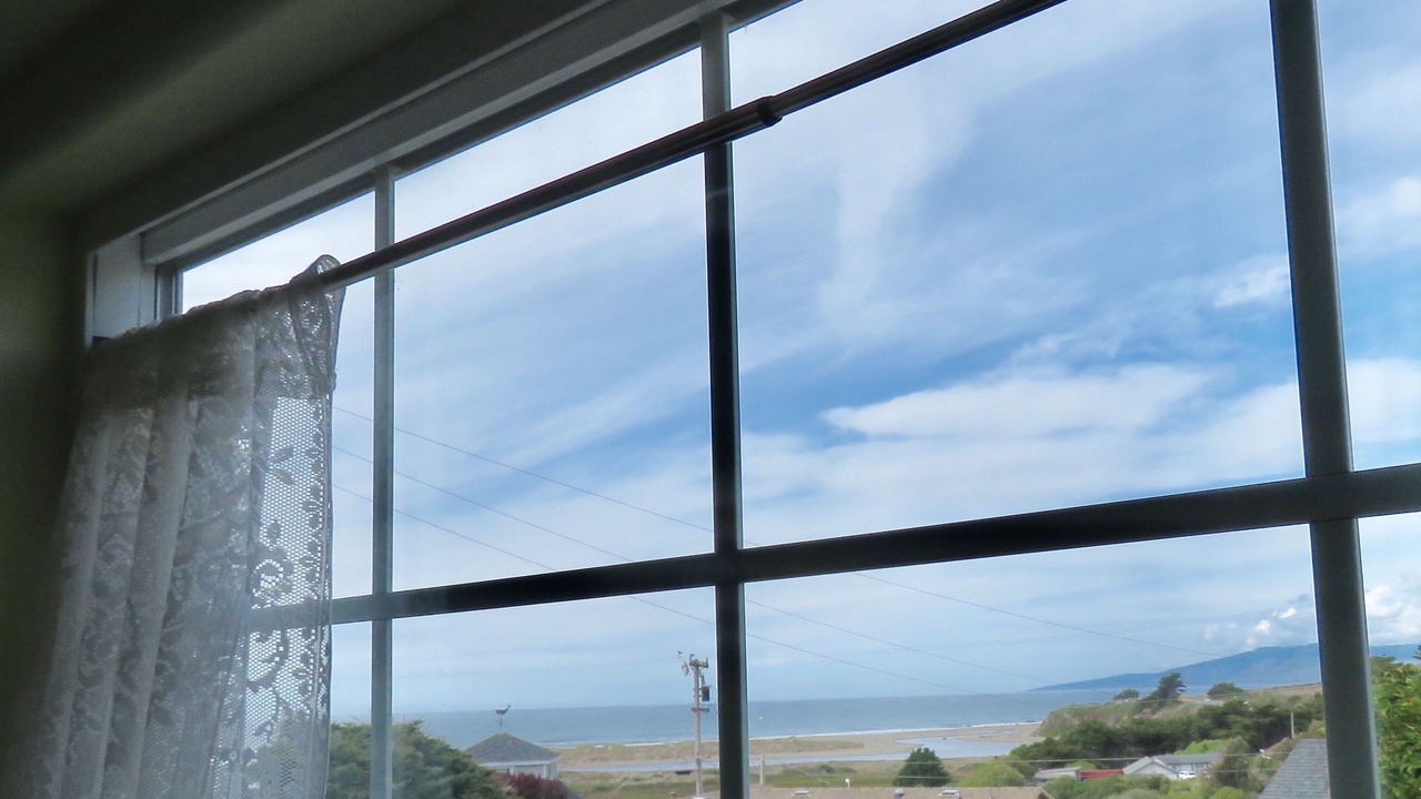 Photo of Others in Salmon Creek