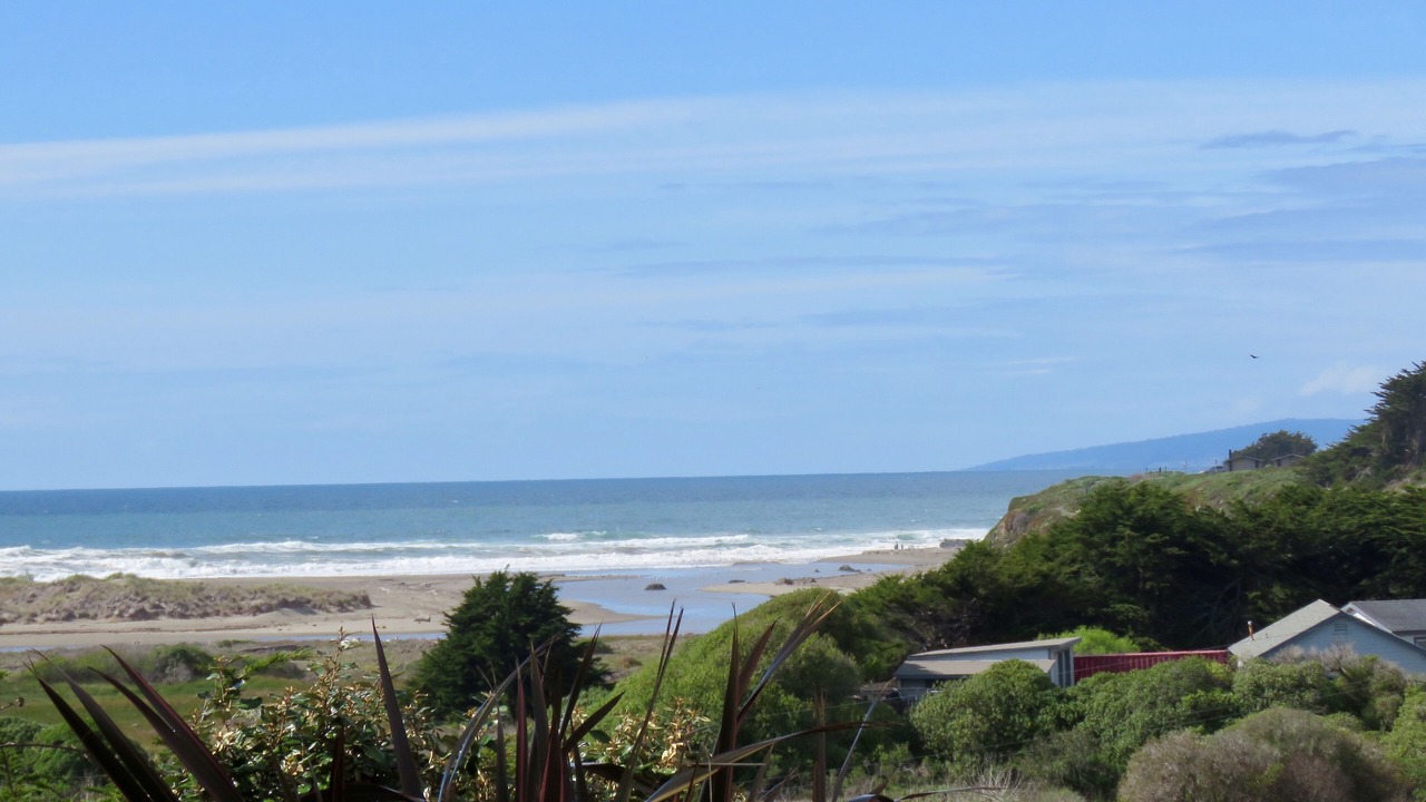 Photo of Others in Salmon Creek