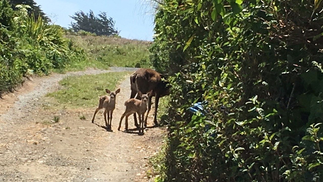 Photo of Others in Salmon Creek