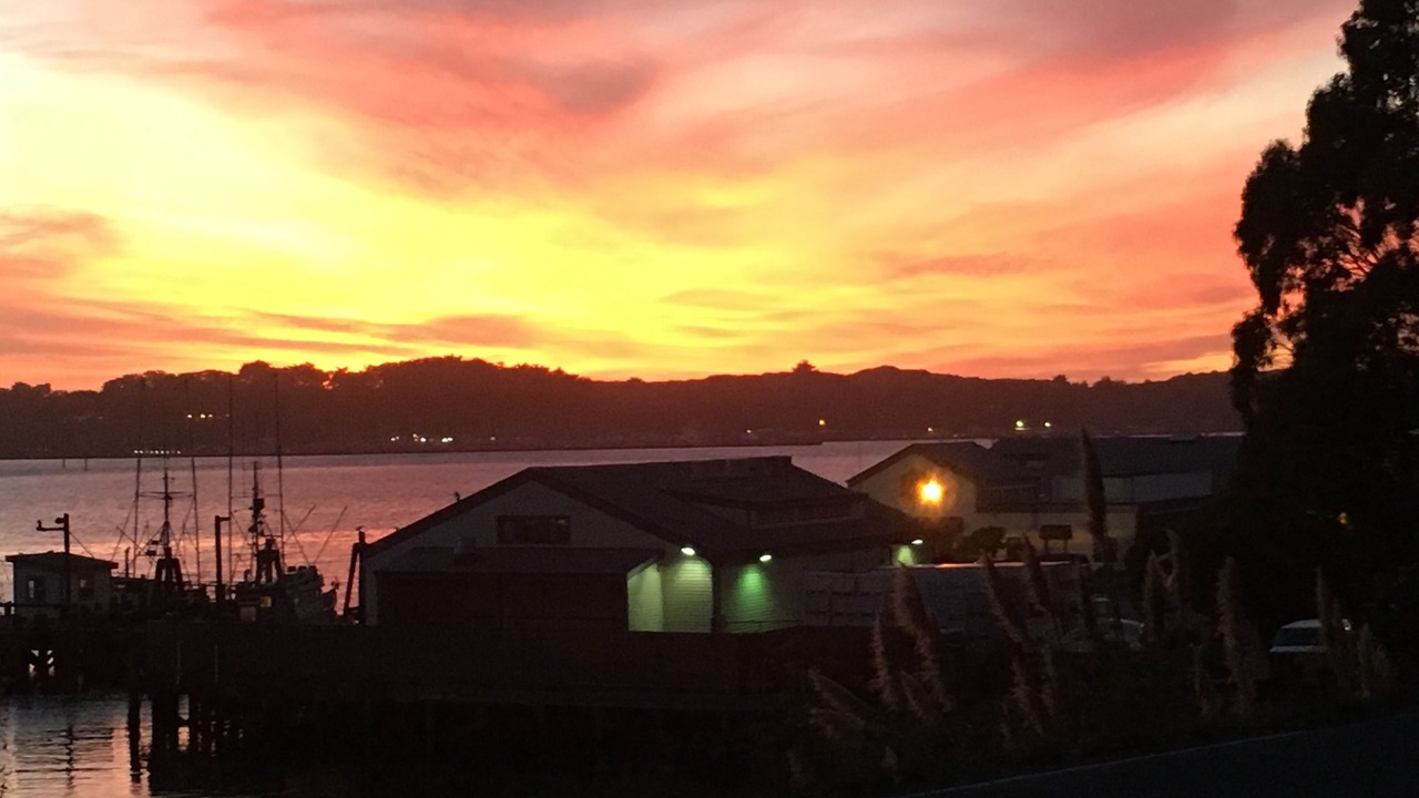 Photo of Others in Salmon Creek