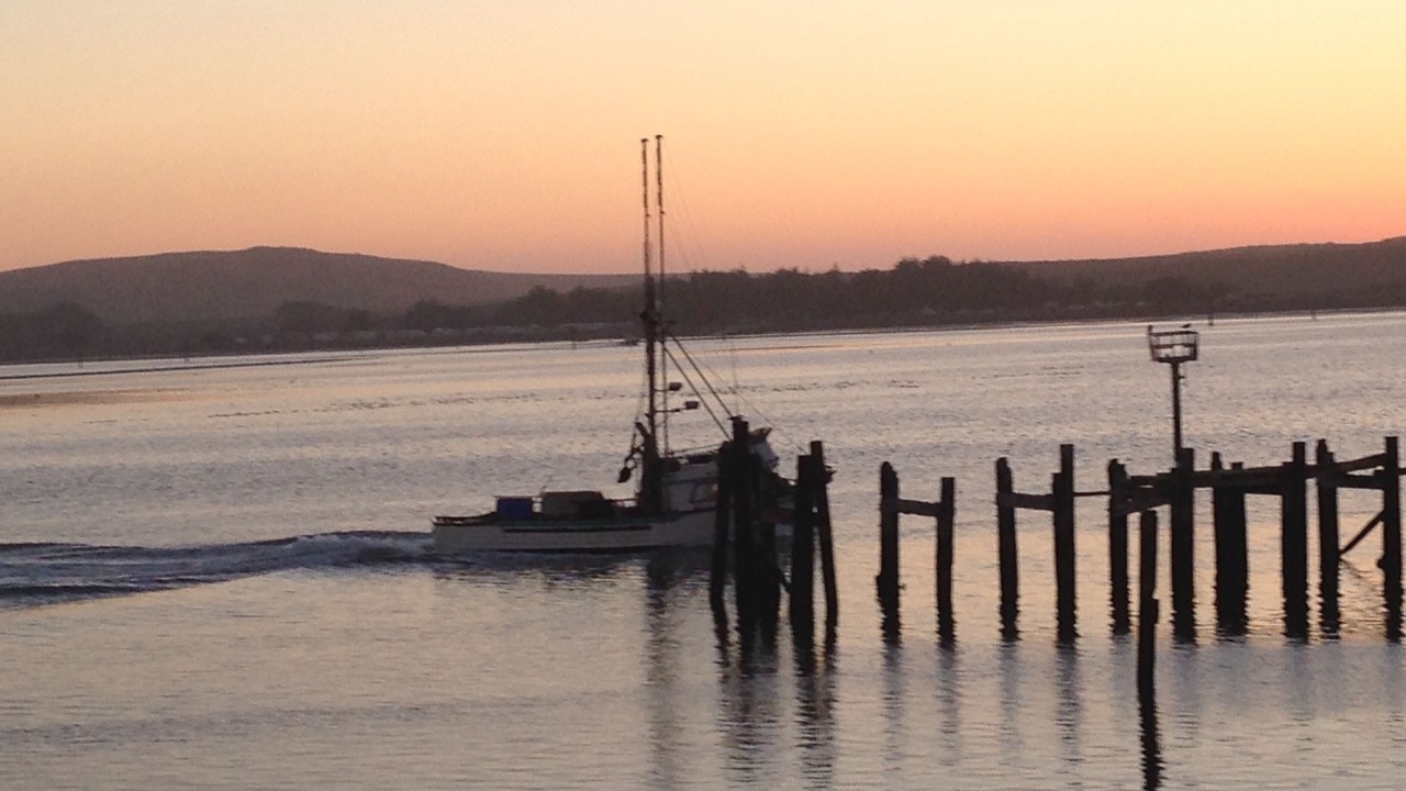 Photo of Others in Salmon Creek
