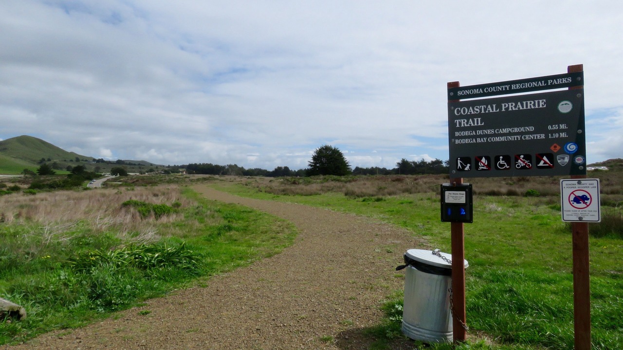 Photo of Others in Salmon Creek